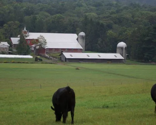 Jacob’s Ladder at Brookside Farm