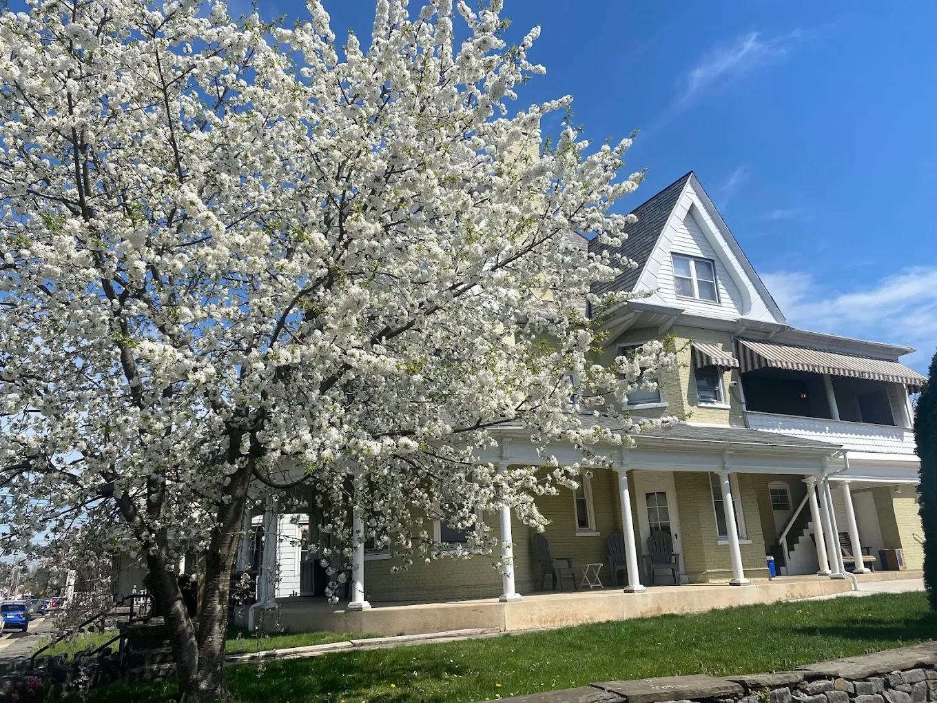 New Vitae Wellness and Recovery